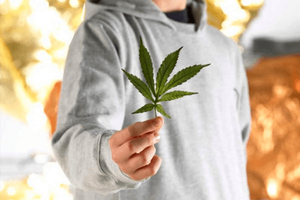 Как вывести марихуану созревание конопли шишек